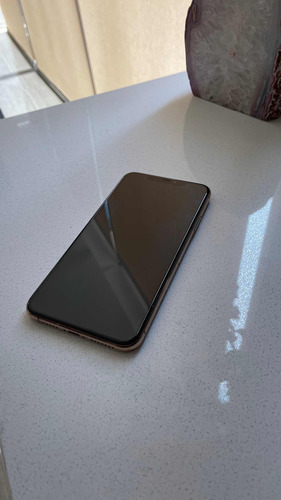 iPhone 11 Pro Max (Usado)