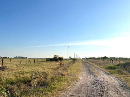 Imagen 4 de 20 de Venta Chacra 15 Hectareas Cañuelas Buenos Aires