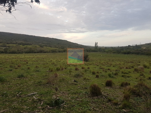 Imagen 8 de 14 de Campo Ganadero 60 Hás Sierras Del Carapé
