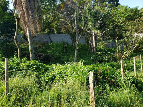 Terreno Para Venda Em Praia Da Ferrugem Garopaba-sc - Tv872