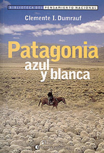 Patagonia Azul Y Blanca