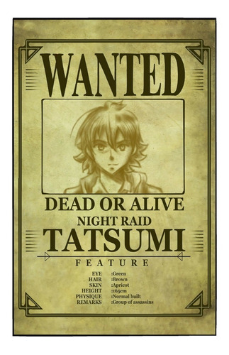 Cuadro De Se Busca Akame Ga Kill Tatsumi Ch