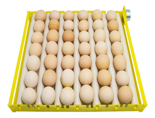 Bandeja De Incubadora De Huevos Rodillo De Huevos 7 Tubos