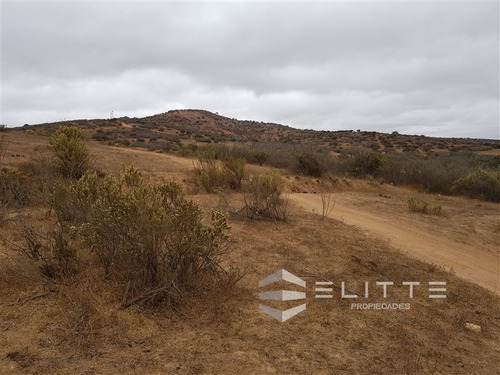 Imagen 4 de 7 de Parcela En Venta En Limache