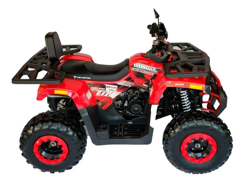 Imagen 8 de 15 de Cuatrimoto Tao Hunter Braves 250
