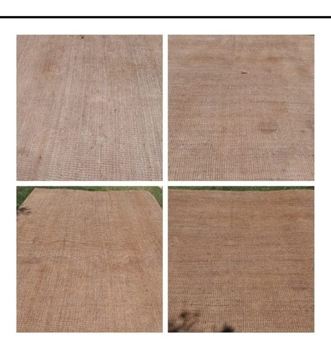 Imagen 3 de 9 de Limpieza De Alfombras Y Tapizados