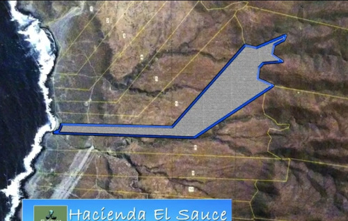 Vendo Loteo 28 Parcelas De 5.000 M2 Cada Una