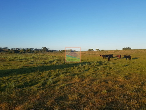 Imagen 9 de 12 de Chacra 7 Hás Rincón De José Ignacio