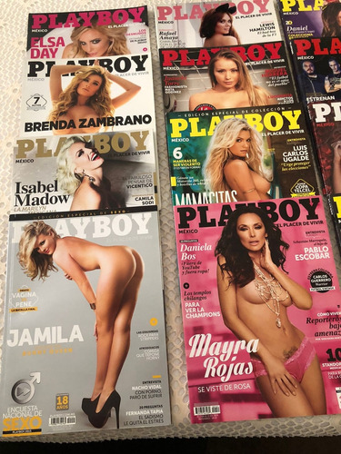 Colección Playboy 2016 (12 Revistas) - México. (Usado)
