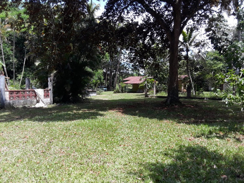 Finca De 125 Tareas De Venta En Bonao 