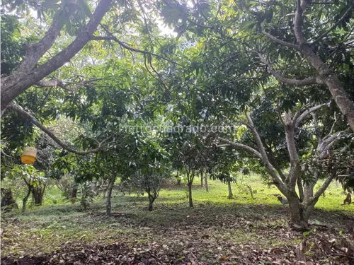 Finca En Venta En Viota Vía A La Mesa 13 Hectareas