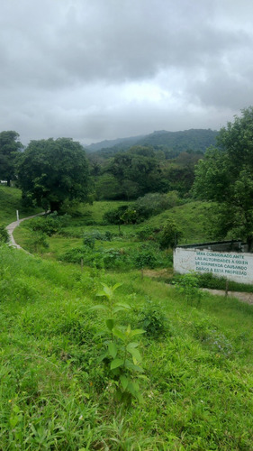 Terreno 4119m² En Coatepec Veracruz (pueblo Mágico)