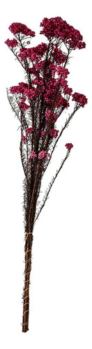 Flor De Arroz Preservada 72cm - Desidratada 72x15x2cm