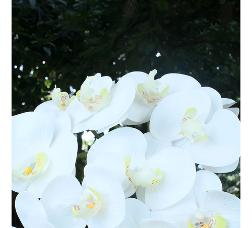 Haste De Orquidea Phalaenopsis Real Toque X9 (branco) 97cm