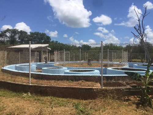 Imagen 22 de 30 de Hacienda En Venta - En San Antonio Tehuitz, Yucatán