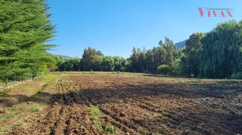 Agrícola En Venta En Curicó