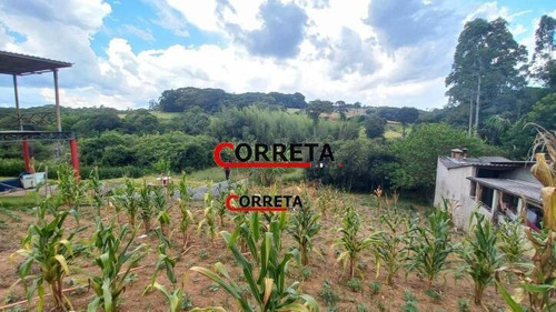Imagem 4 de 12 de Terreno De 1005 M² + 300 M² Área Verde Com Lago E Nascente Em Ibiúna. - 437