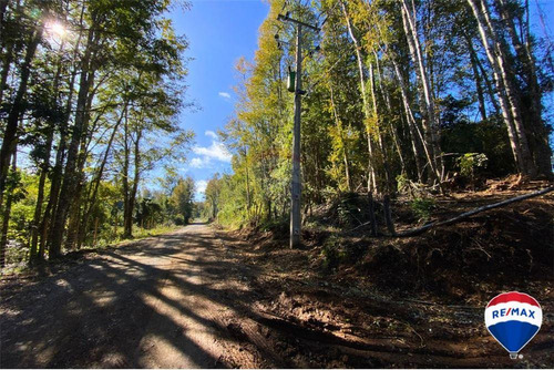 Se Vende Parcela Con Bosque - Villarrica