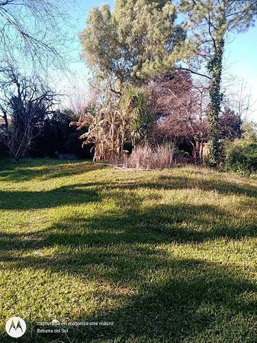 Imagen 15 de 17 de Venta Quinta Tortuguitas Parque Alvear Ii