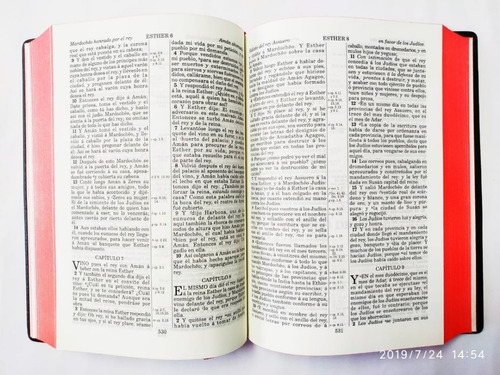 Biblia Mediana 1909 Vinil Negro Canto Rojo Vro52