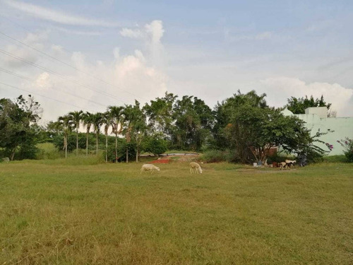 Imagen 1 de 14 de Terreno A Pie De Carretera Loma De Fátima Frente A Cervecera 84.3m