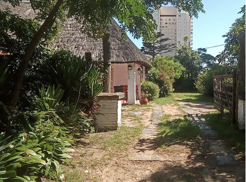 Magnífica Y Acogedora Casa En Parada 4 Playa Mansa