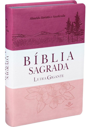 Bíblia Sagrada Feminina Letra Grande | Almeida Revista E Atualizada | Capa 3 Cores Com Índice