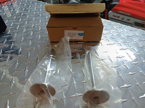 Valvula Admision Cummins 3920867 J920867 4895187 2 Piezas