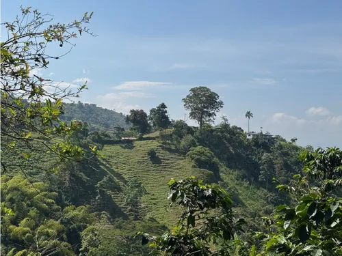 Lote En Venta En Vereda La Aurora Manizales | Venta Terreno