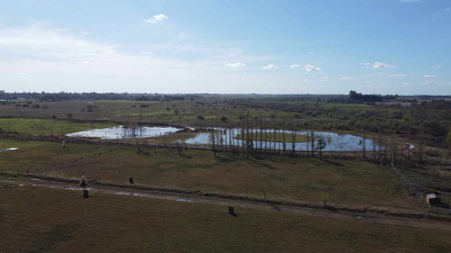 Venta, Lote 1971 M2. La Amanecida, Ex. De La Cruz.