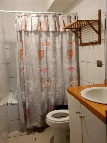 Gastos Comunes Incluidos, 1 Dormitorio, Lavadora, Amoblado.