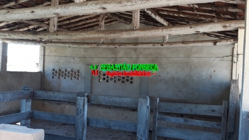 Chácara Em Paraibuna, Casa De 4 Dormitórios, Sendo 2 Suítes - 974