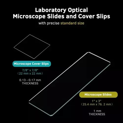 100 Portaobjetos Y 100 Cubreobjetos Para Microscopía
