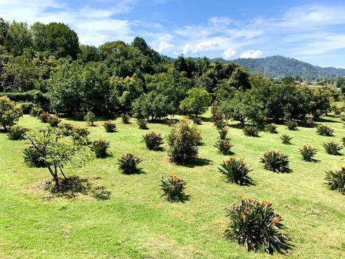 Imagen 1 de 4 de Terreno En Venta