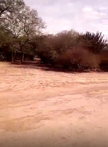 Venta Campo Salta Departamento Rivadavia