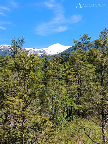 Sitio En Venta En Aisén