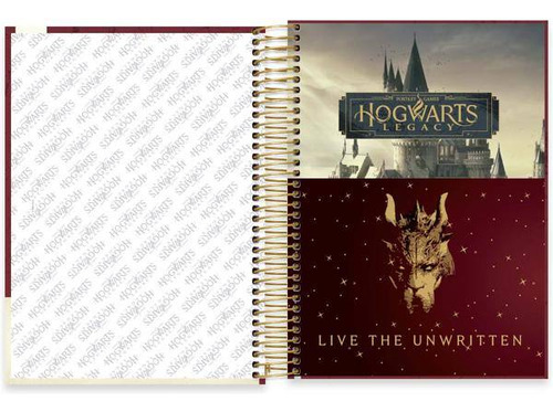 Caderno Hogwarts Legacy Harry Potter 10 Matérias 160 Fls Ii Cor Vinho