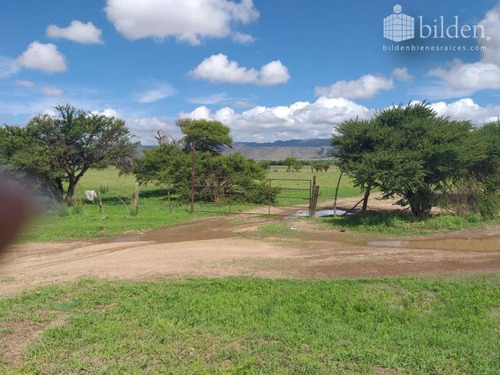 Imagen 4 de 4 de Terreno En Venta Morcillo