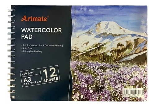 Cuaderno Artmate A3 29.7 X 42cm 12 Hojas 300 Grs Con Espiral