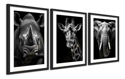 Kit 3 Quadros Girafa Elefante Rinoceronte Safari 45x63cm Cor Preto Cor da armação Preta