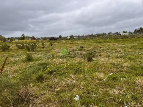 Terreno Alto De 426 M2, Sobre Calle Asfaltada.