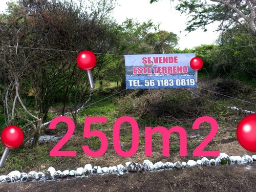 Imagen 4 de 14 de Terreno En El Tequesquitengo Morelos