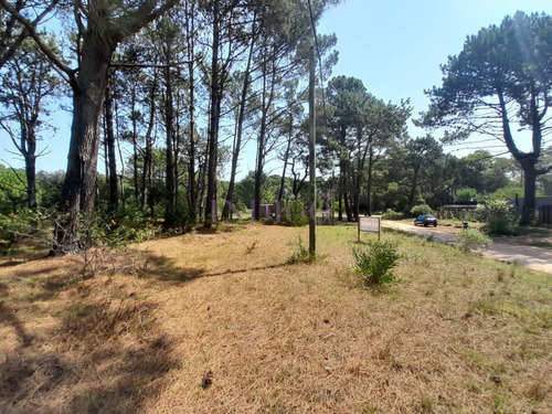 Imagen 10 de 12 de Venta De Lote En Barra Verde, La Barra, Uruguay - La Barra Barra Verde