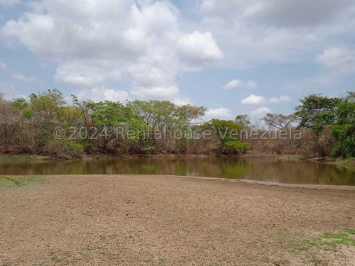 Finca Fondo De Comercio En Venta Agroalimentario Acropecuario Exportacion Limones Mangos 100 Hectareas Galpones Depósitos Casa Piscina Camatagua Estef 24-26751