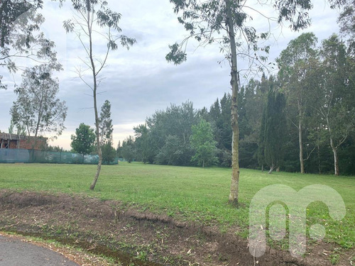Imagen 4 de 10 de Venta Terreno - Club Miralagos