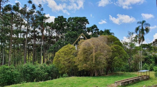 Imagem 28 de 30 de Sítio Em Meio As Montanhas A Venda - Bueno Brandão/mg - Si0015