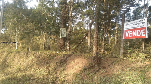 Imagem 1 de 15 de Chácara Para Venda Em Campina Grande Do Sul, Imbuial - 00292_2-1224372