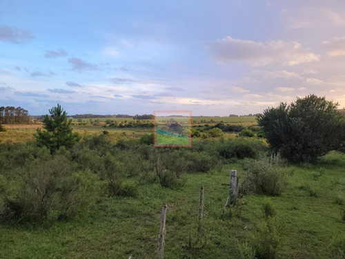 Imagen 10 de 28 de Campo 100 Hás Ruta 104 Manantiales