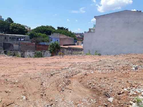 Imagem 3 de 8 de Terreno Para Venda No Bairro Vila Marieta, - 3297