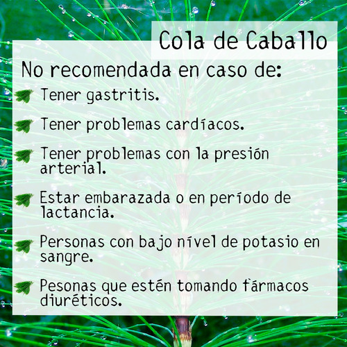 Tintura Madre Cola De Caballo 50ml | Tónico Herbal